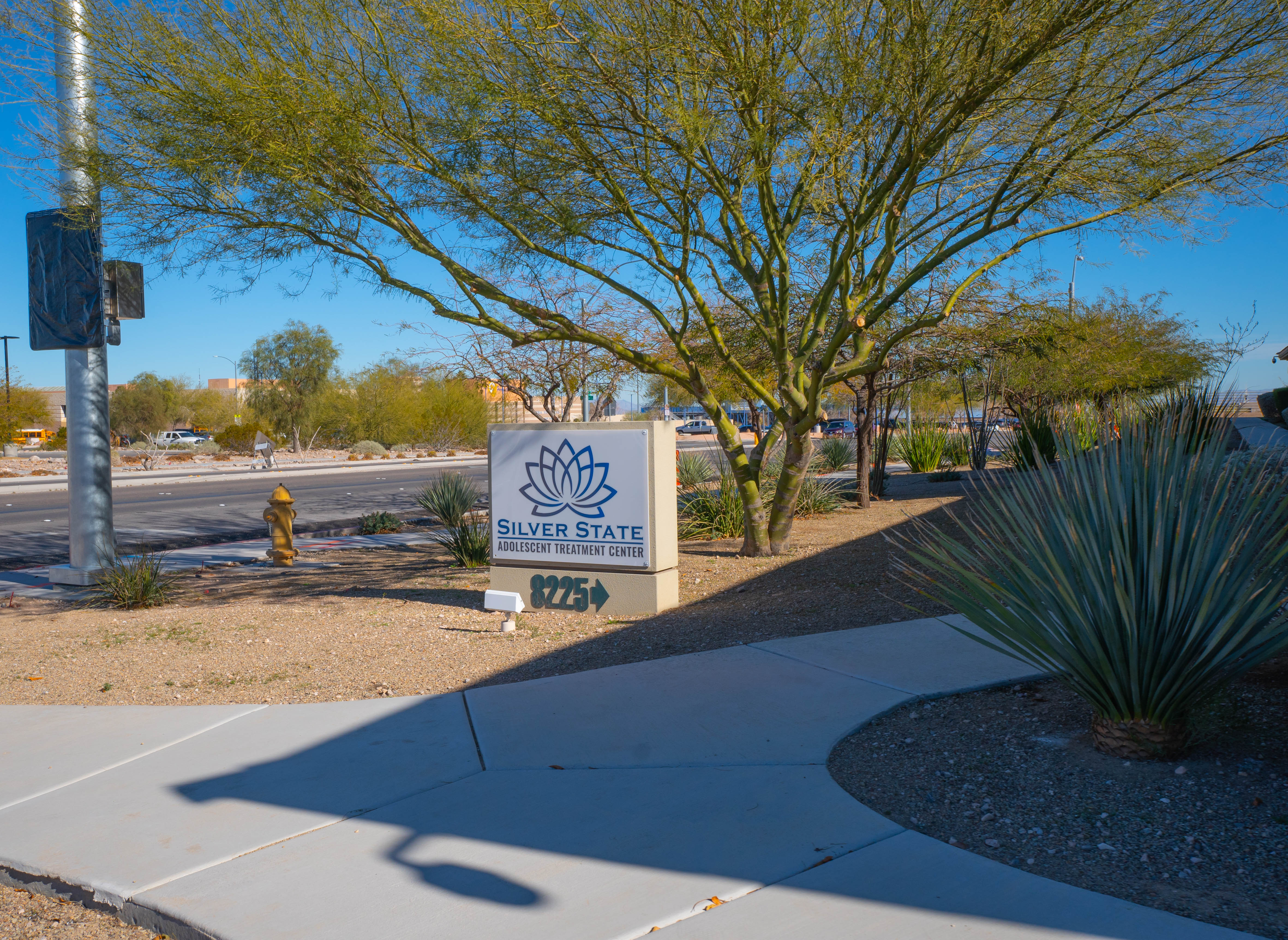 Silver State street-level monument sign with desert landscaping